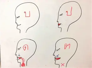 Thai consonants บ ป ด ต drawn on a whiteboard